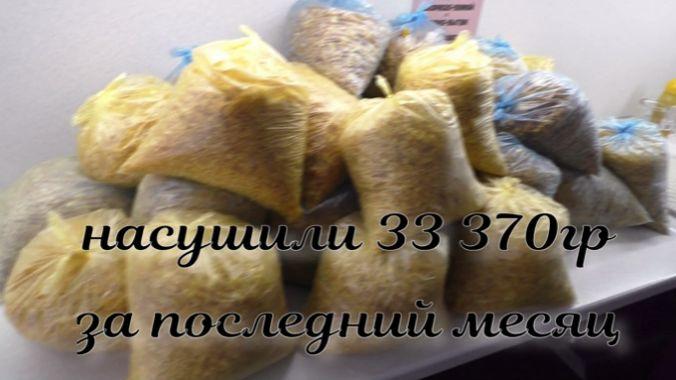 Семья-волонтеров Семья-волонтеров.